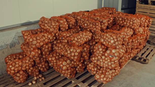 Packaged onions at the distribution warehouse